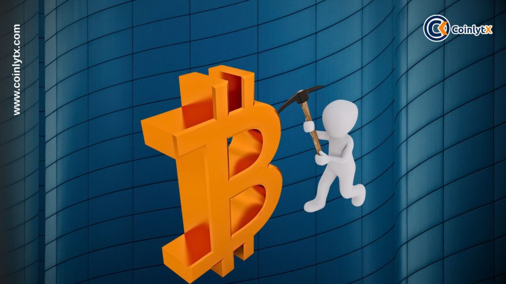 12% of Corporate Bitcoin Treasuries Now Held by Miners